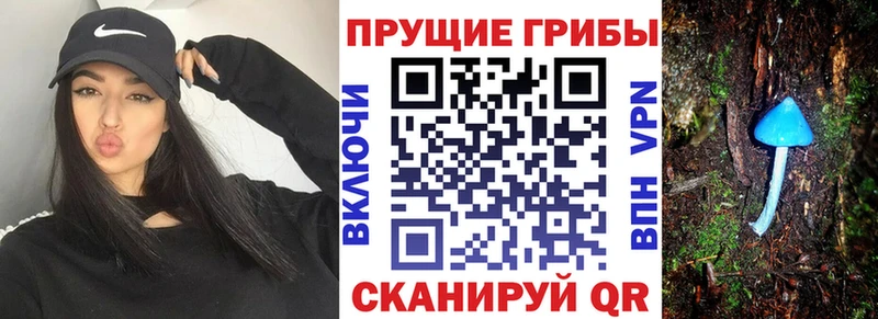 закладка  ссылка на мегу ссылки  Псилоцибиновые грибы Psilocybine cubensis  Лысьва 