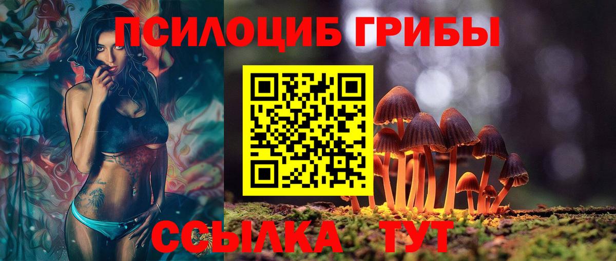 Галлюциногенные грибы MAGIC MUSHROOMS Лысьва